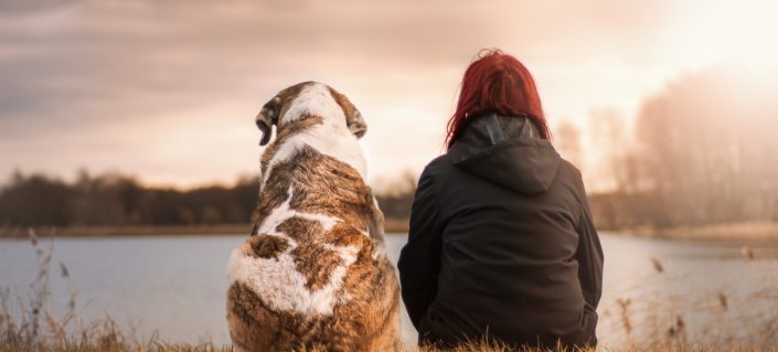Best Canadian destinations to take your dog