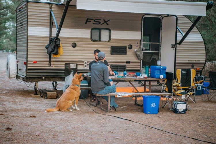 10 Tips To Prepare For Your Puppy S First Camping Trip Gorving