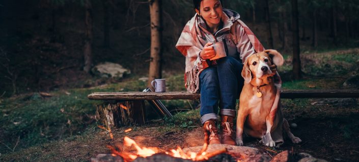 6 Essentials to Pack When RVing with a New Dog
