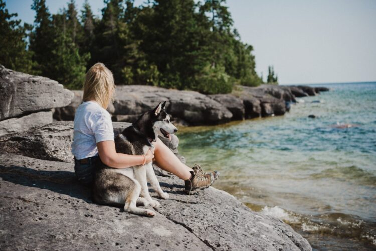 camping with dog