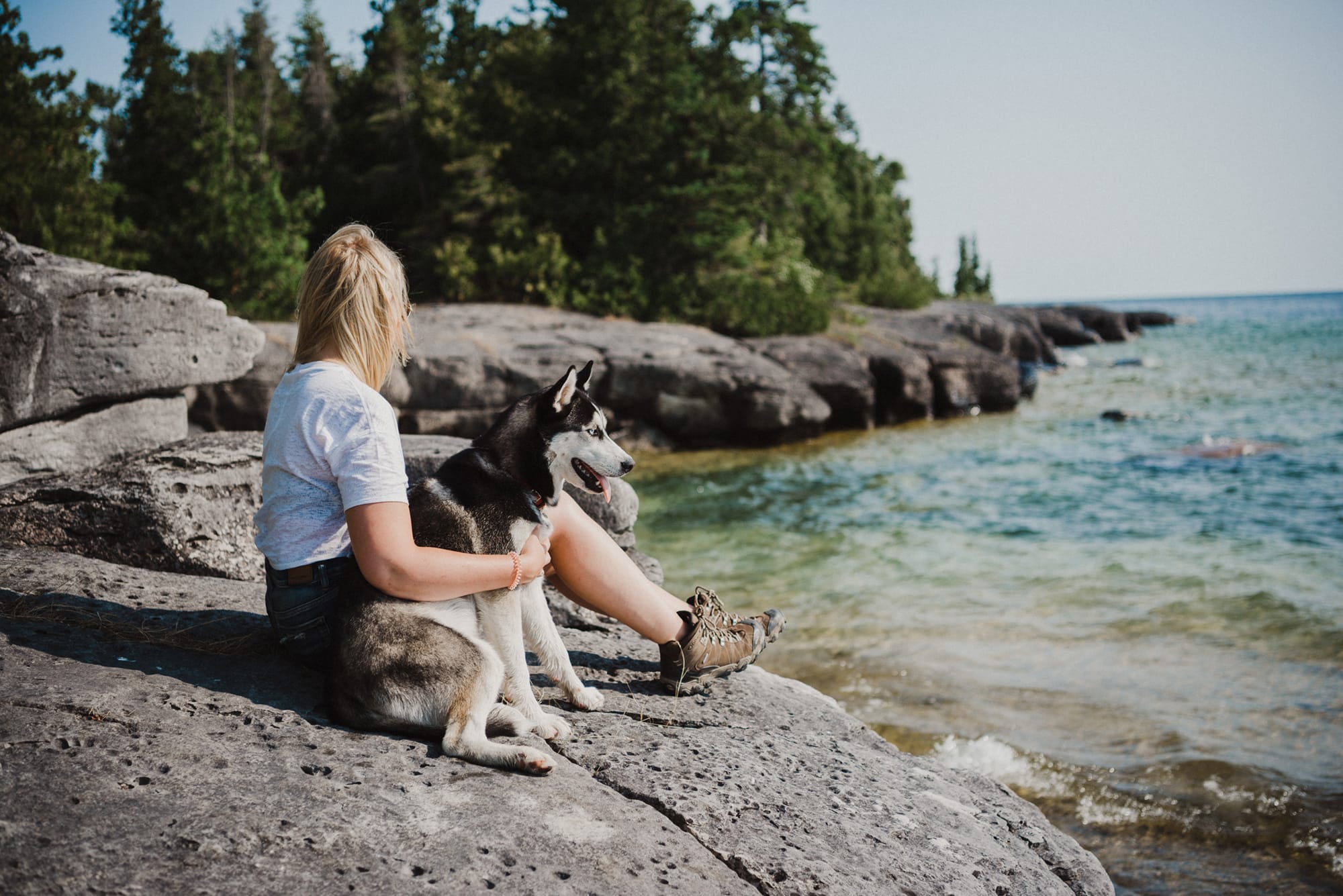 travel canada with pet