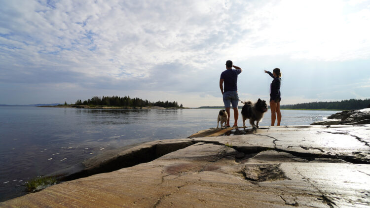 couple by the water with dogs