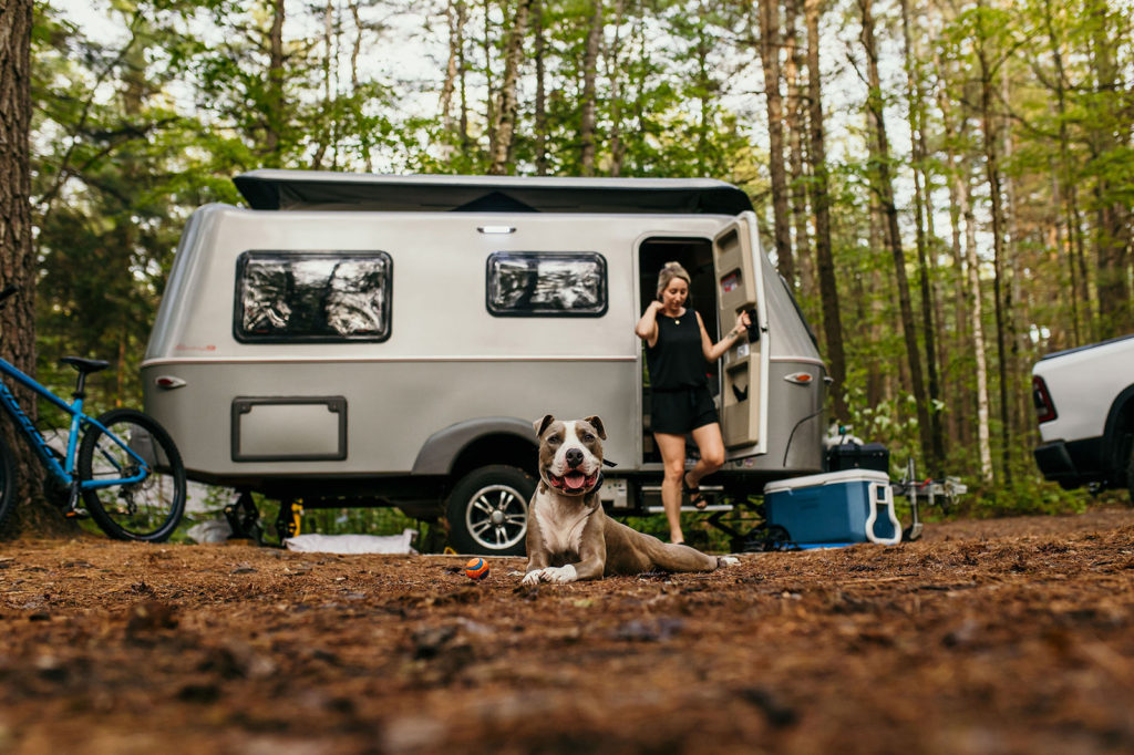 RVing with dog