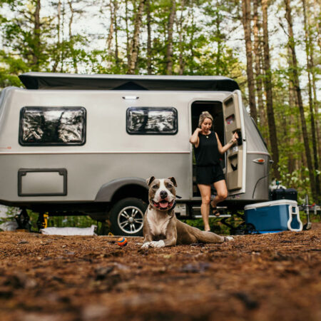 RVing with dog