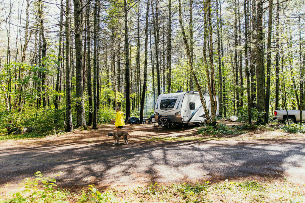 camping with dog