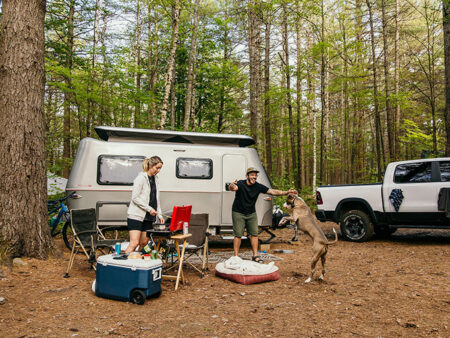 Camping with dog