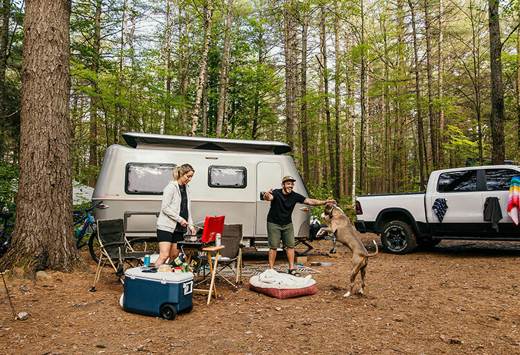 Camping with dog