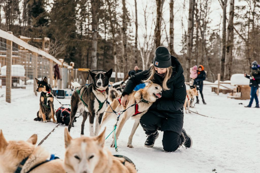 Gone Fishing Dog -  Canada