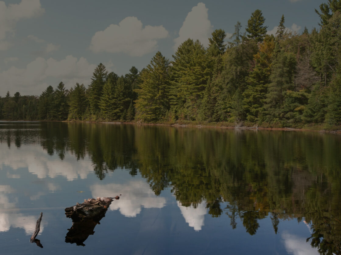 Campgrounds | Find your wildhood | GoRVing