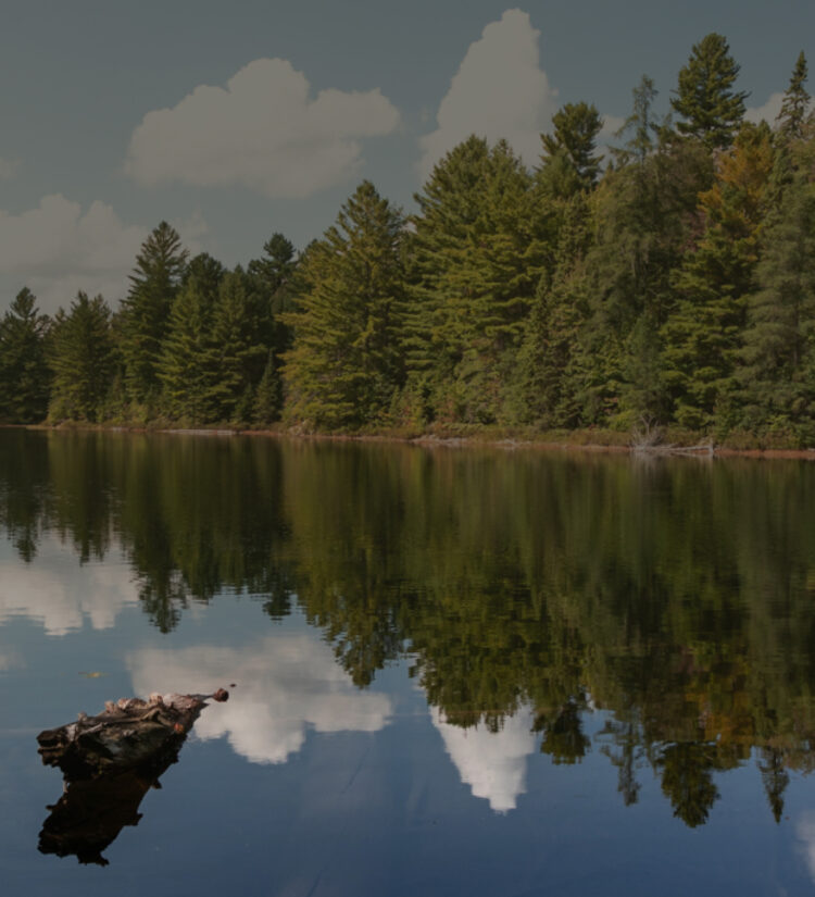 Campgrounds | Find your wildhood | GoRVing