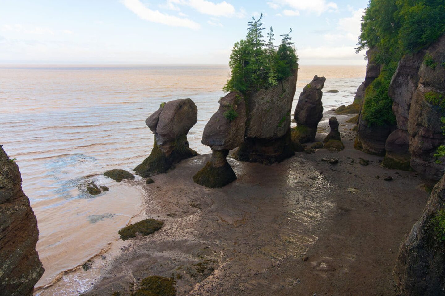 Image of the Hopewell Rocks in New Brunswick