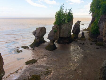 Image of the Hopewell Rocks in New Brunswick