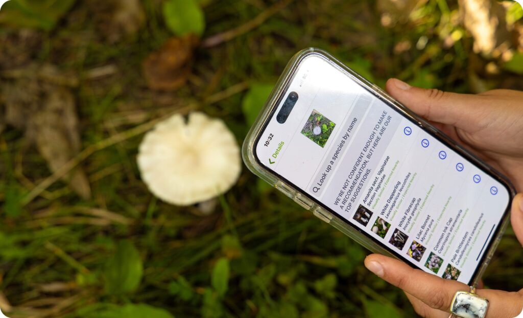 A shot of someone using the iNaturalist app to identify a species