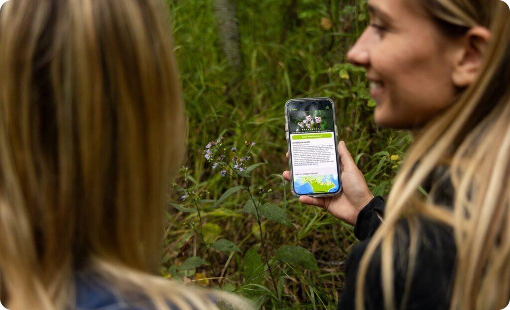 Woman holding out her phone taking a photo with the iNaturalist app