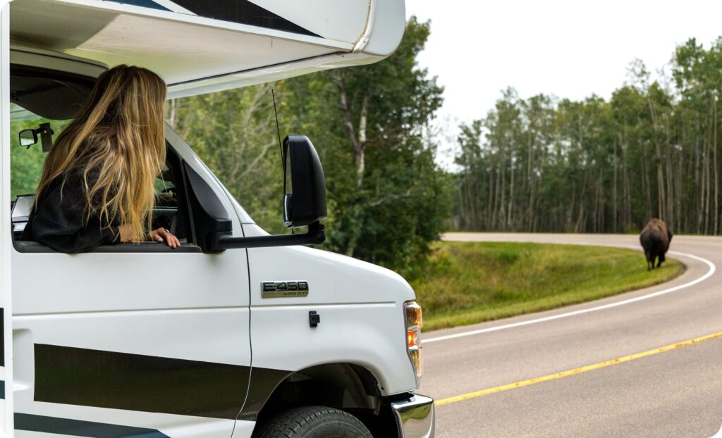 Woman looking out of the passenger window of her RV at a buffalo