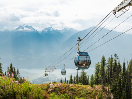 Revelation Gondola climbing above alpine wildflower meadows at Revelstoke Mountain Resort